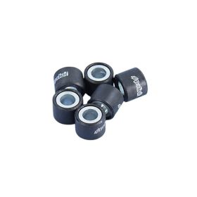 Rulli variatore POLINI 16X13 6,9 gr