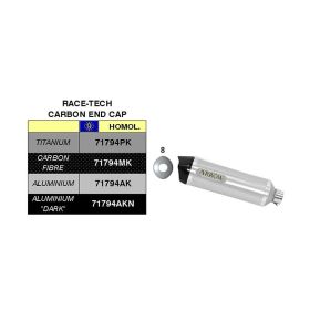 ARROW Race Tech Aluminium Slip-On Rennschalldämpfer mit Carb Cap für Kawasaki Versys 650