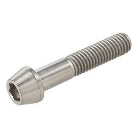 SIP Rim Screw M8x40mm Silver for Vespa GTS/GTS Super