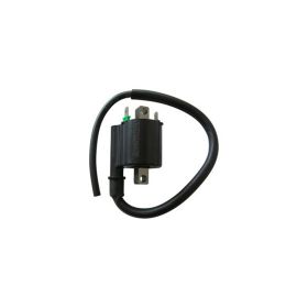 SGR Ignition Coil 12V 2 Faston 3 OHM Resistance 40 cm Cable
