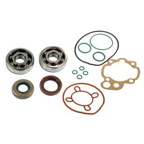 Kit de roulements SKF et joints de cylindre C4 pour Am6