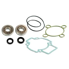 SKF Bearing Kit and C4 Cylinder Seals for Piaggio LC
