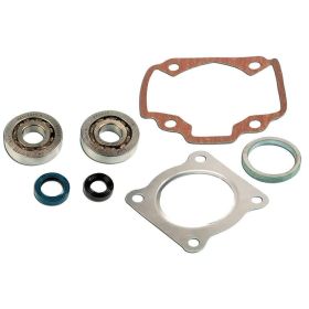 SKF Bearing Kit and C4 Cylinder Seals for Peugeot AC