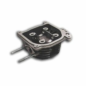 Testa cilindro C4 D.39 per motore 139QMB 4T
