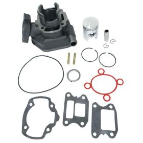 C4 50 cc Zylinder Thermogrupp D 40 für Peugeot Speedfight L.C