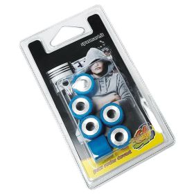 C4 Variator Rollers D.19x15.5 - GR 4.0