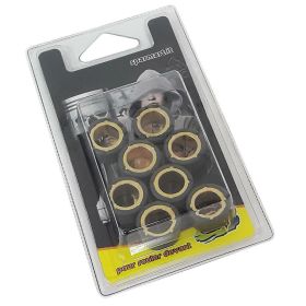 C4 Variator Rollers D.20x12 - GR 14.0
