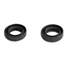 C4 Oil Seal Kit for Peugeot Fox