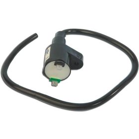 C4 anpassbare Spule für Peugeot Ludix