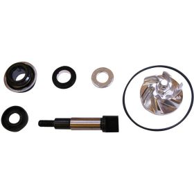 Kit de révision de pompe à eau pour Honda Forza/SH 300