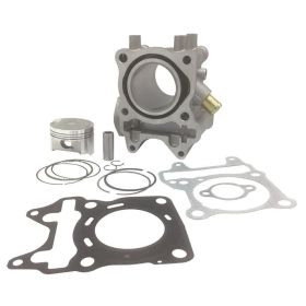 C4 Thermogruppen-Zylinder D 52,4 für SH 125 IE