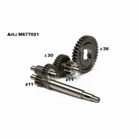 Primärgetriebe MALOSSI 67 7021