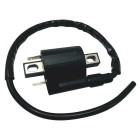 C4-kompatible Spule für Neo's 50 4T X-Max 125 250