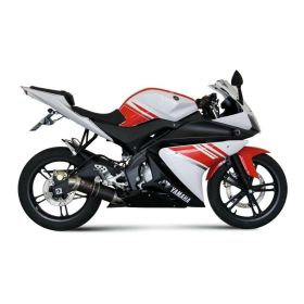 Kompletter MIVV GP Auspuff aus Carbon für YAMAHA YZF R125