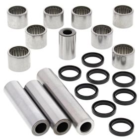 Kit revisione link forcellone ALL BALLS 27-1173 per Can Am DS 450