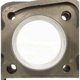 POLINI Thermal Group Hub 41,8 78,7cc Gusseisenzylinder