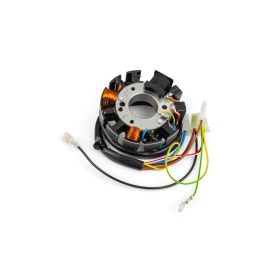 Stator d'allumage numérique Mvt pour allumage Millenium Ext102/Ext103