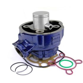CARENZI 031000G THERMAL UNIT CYLINDER KIT