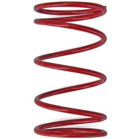 CARENZI 286871 CONTRAST SPRING