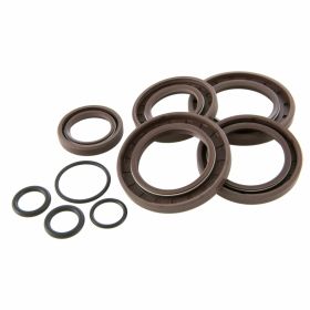 Kit paraolio motore FKM 22x32x5 a 33x52x6 mm resistente a calore e sostanze chimiche