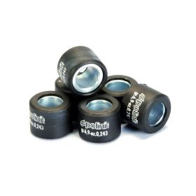 Rulli variatore POLINI 28X20 26,0 gr