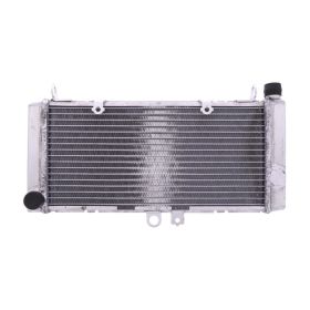 JMP KHL_X09 Wasser-Radiator für Honda CBF 600