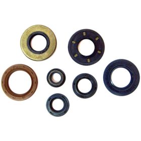 ENGINE OIL SEALS CENTAURO FOR MINARELLI FB AM345 AM6