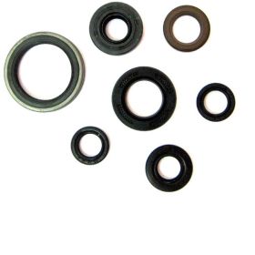 ENGINE OIL SEALS CENTAURO FOR YAMAHA YZF 250'01