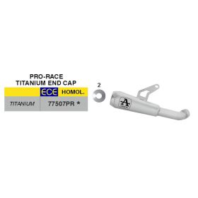 ARROW Pro-Race Titan Slip-On Auspuff genehmigt für Kawasaki Z 1100/Z 1100 SE