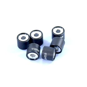 Rouleaux de variateur POLINI 25X16 12,0 gr