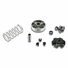 MALOSSI 5111597 Variator