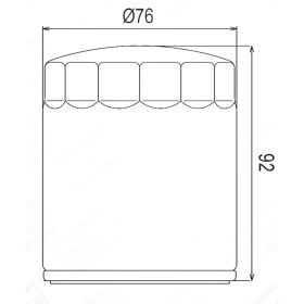 FILTRO OLIO CHAMPION COF070B