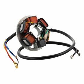 CIF 6Ve Stator pour moteurs électriques 5 bobines et 7 fils