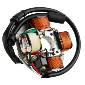 CIF Stator 199518 für Elektromotoren 4 Spulen und 6 Drähte