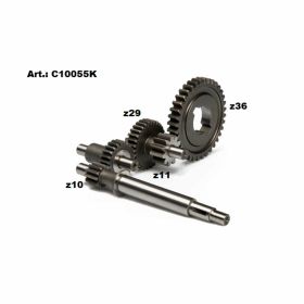 Kit CIF Cambio 10-23-11/29-36 Denti con Variatore Rinforzato