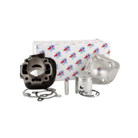 GRUPPO TERMICO DR EVOLUTION 70CC MINARELLI ORIZZONTALE AC SP.10 FIL. CORTA