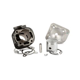 GRUPPO TERMICO DR EVOLUTION 70CC MINARELLI ORIZZONTALE AC SP.10 FIL. CORTA
