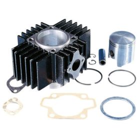 POLINI Thermal Group D.46 Hub 39 65cc Gusseisenzylinder
