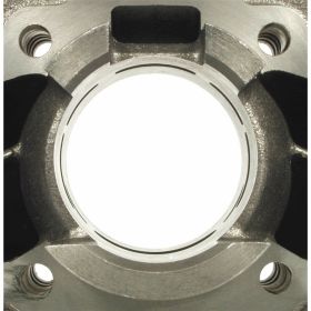 POLINI Thermogruppe D.40 Hub 39,1 49cc Gusszylinder
