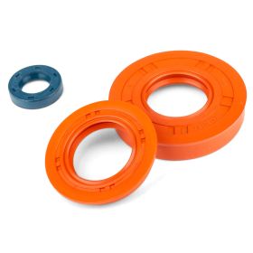 STAGE6 R/T MOTOR- UND WASSERPUMPEN-ÖLDICHTUNGSSATZ FüR MINARELLI HORIZONTAL LC.