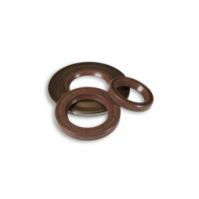 MALOSSI 66173100 KIT PARAOLIO MOTORE