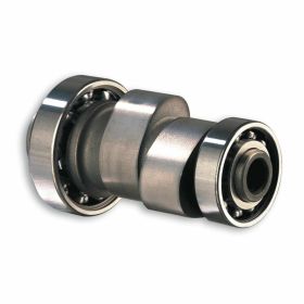 Motorrad nockenwelle MALOSSI 5913877