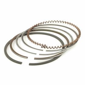 Segmento pistone POLINI D.49 per Piaggio Zip 4T
