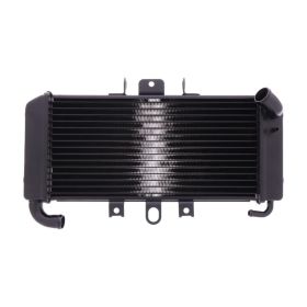 JMP 016-0031 Wasser-Radiator für Yamaha FZS 600