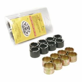 Variomatik roller MALOSSI 6615452.F0