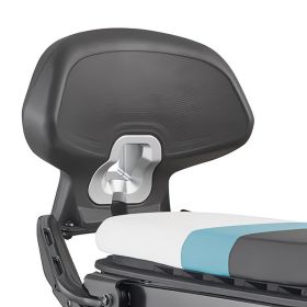KAPPA passenger backrest for BMW CE 02