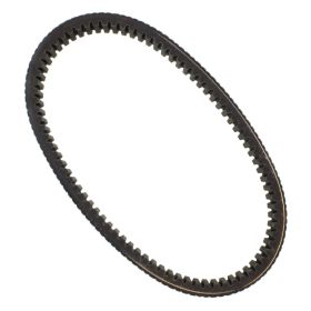 DAYCO HP2032 Antriebsriemen 35,5x937 Hochleistungs