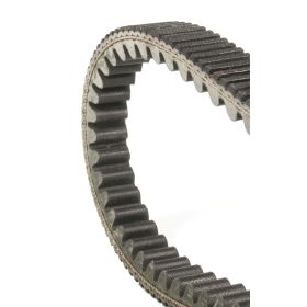 DAYCO R163750330 MOTORCYCLE TRANSMISSION BELT