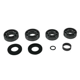 Kit revisione differenziale ALL BALLS 25-2122 completo per Polaris TRAIL