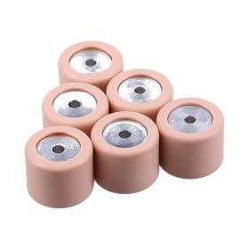 Piaggio Variator-Rollen 19x15,5mm original 7,5g 6 Stück